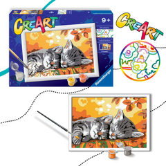 CICÁS AKRIL SZÁMFESTŐ KERETTEL 9+